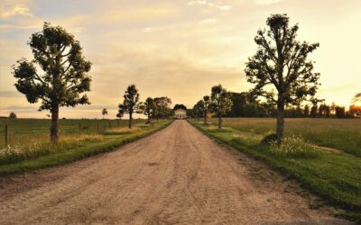 How To Repair A Gravel Driveway